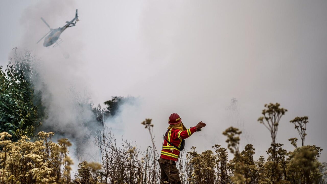 Wildfires cause huge loss of life in Chile amid heatwaves in South America